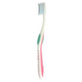 Adult Tooth Brushes